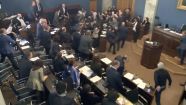 Депутаты в Грузии подрались из-за скандального закона