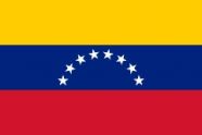 На выборы президента Венесуэлы пригласили представителей БРИКС